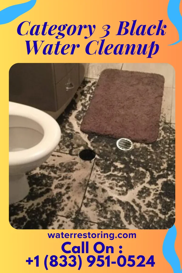 Category 3 Black Water Cleanup in Garretson, SD